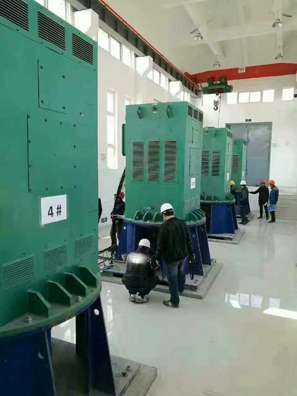 澜沧某污水处理厂使用我厂的立式高压电机安装现场